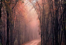 爱游戏体育官网-包含葡萄牙队轻取奥地利队，波尔惊艳四座的词条