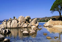 爱游戏体育官网-包含葡萄牙队轻取奥地利队，波尔惊艳四座的词条