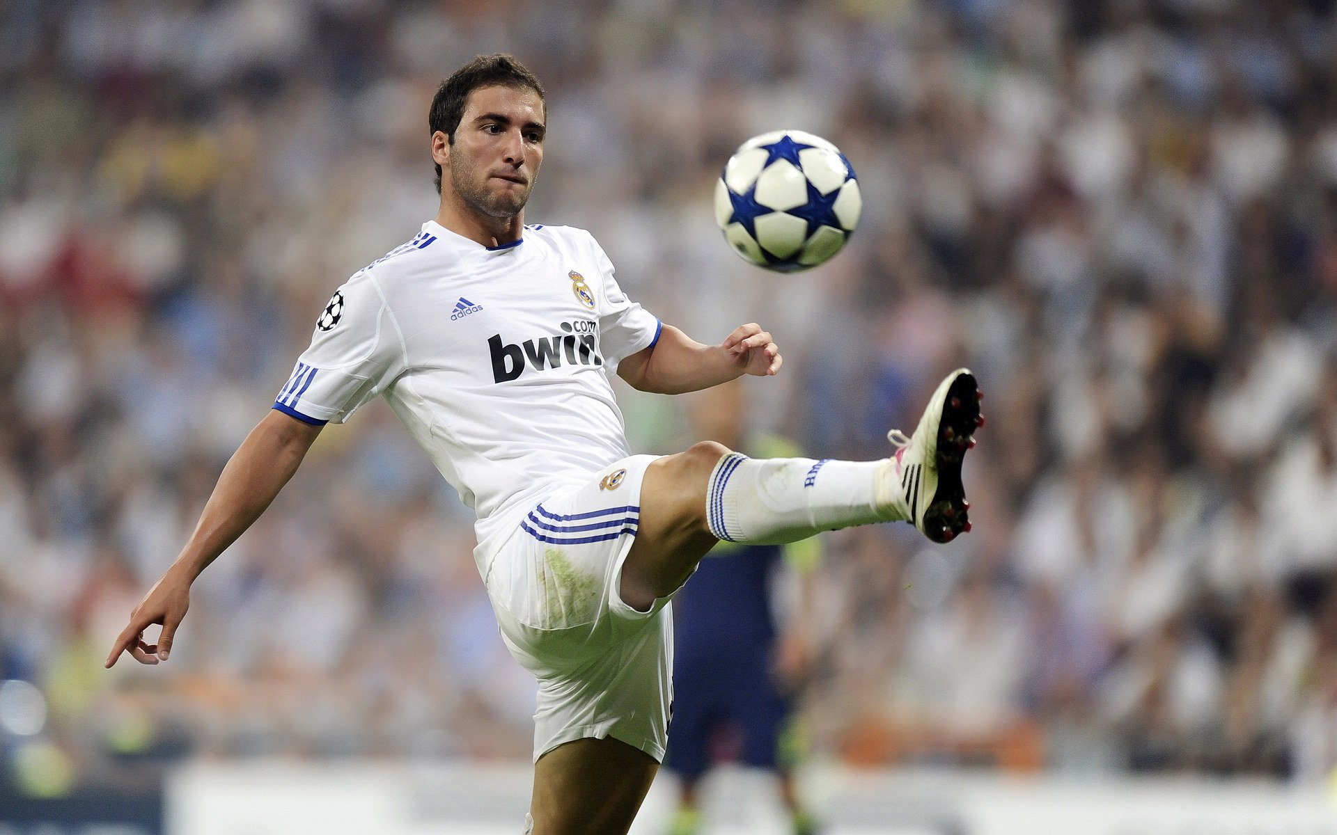 西决生死战之夜,福克斯打出生涯之夜